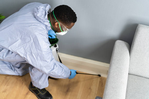 Reliable North Lindenhurst, NY Pest Control Solutions